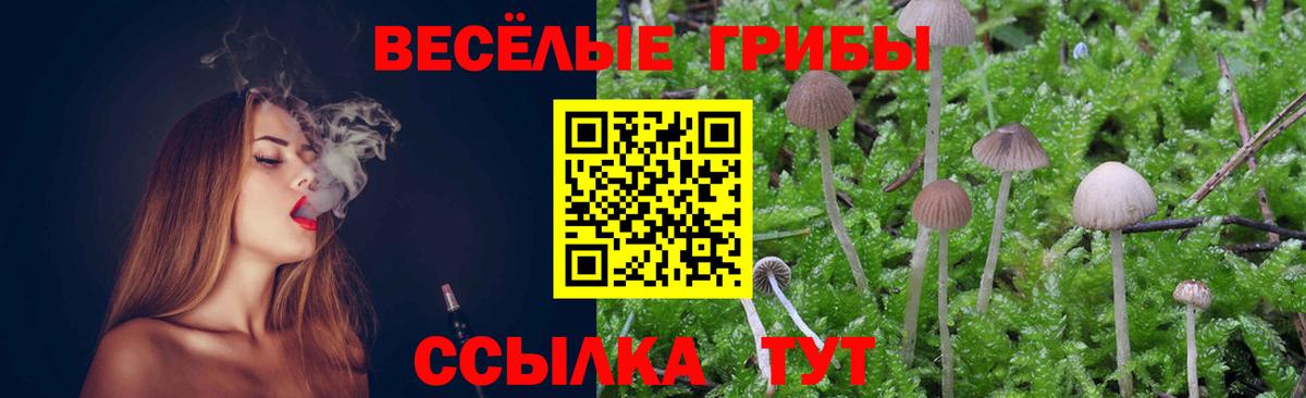 Псилоцибиновые грибы прущие грибы Каменск-Уральский